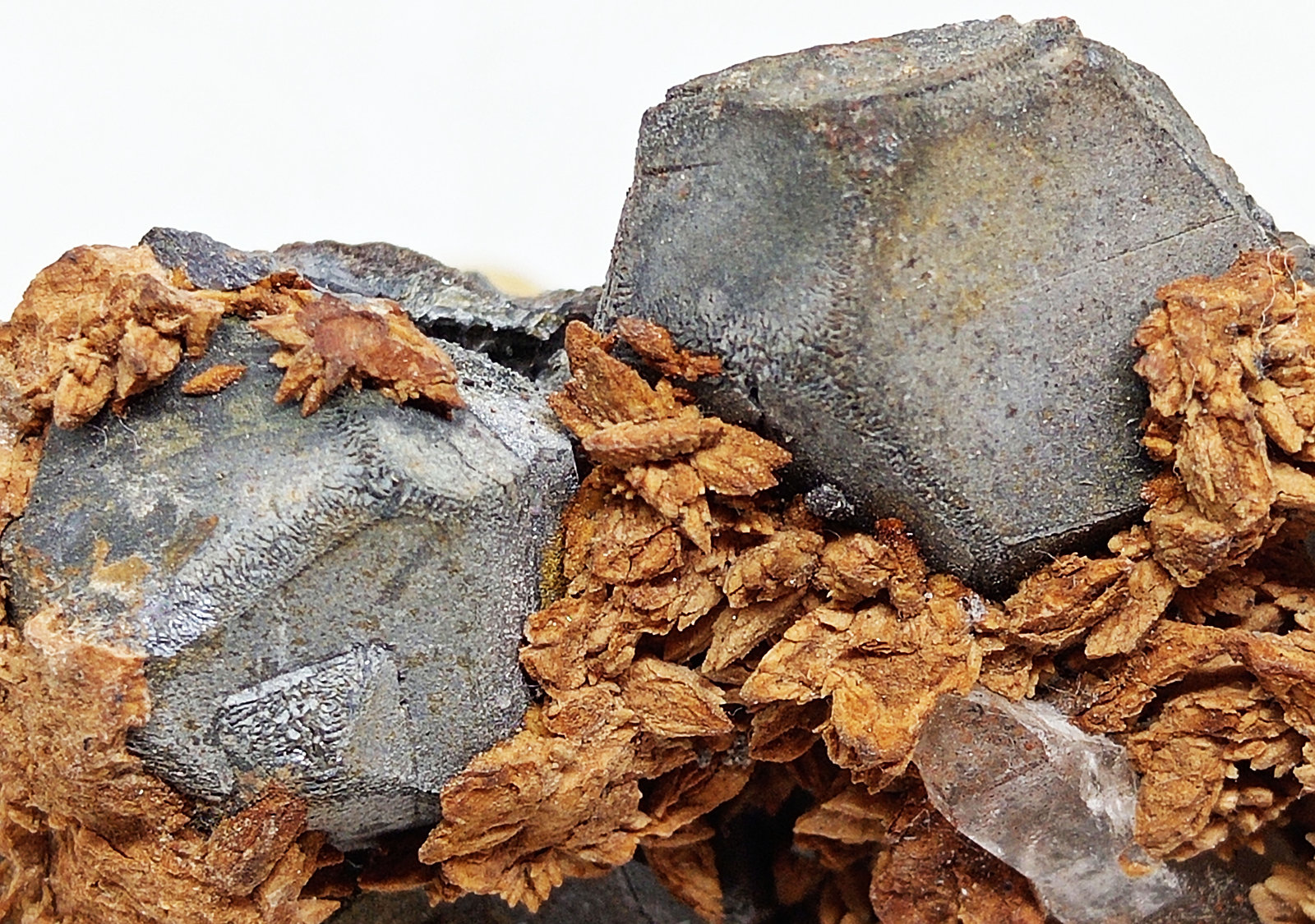 Galena
65x40x25 mm
(Autor: Luis Edmundo Sánchez Roja)