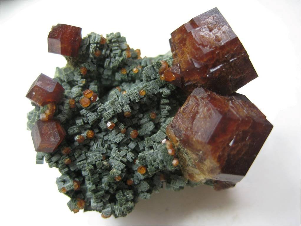 Granate (Grupo) sobre Hedenbergita
6 cm
(Autor: marco campos-venuti)