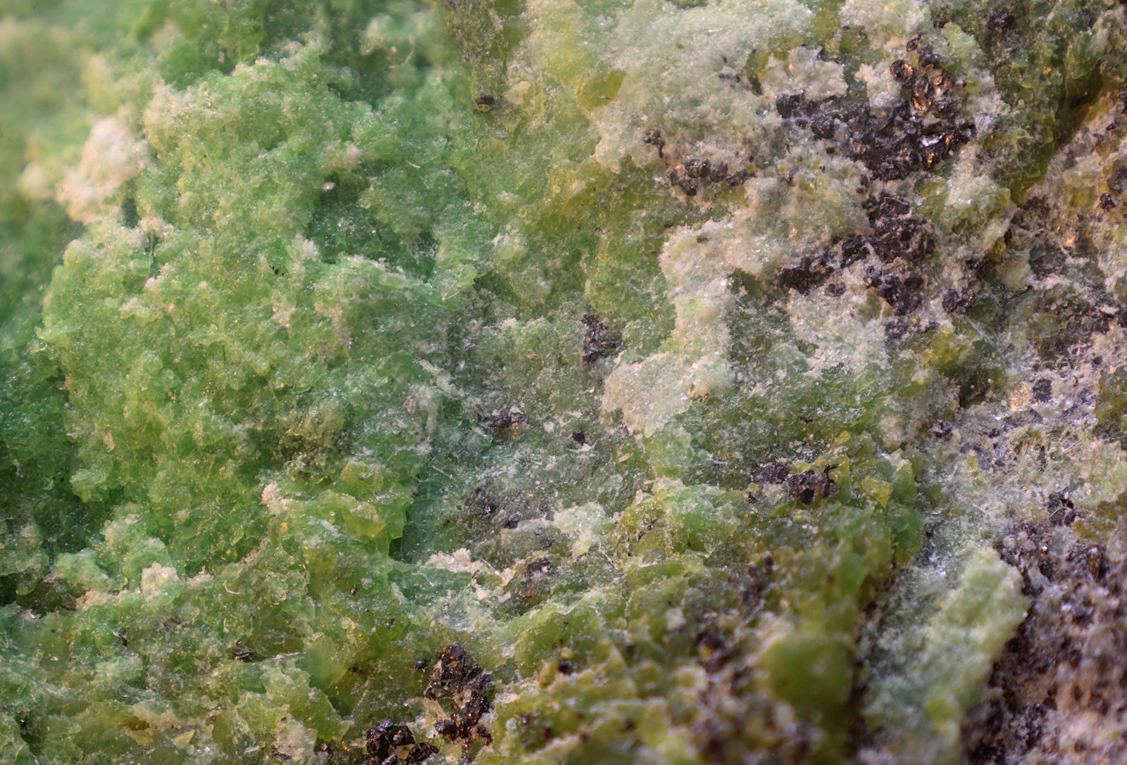 Garnierita, Cromita y Niquelina.
Campo de visión de 10 mm
(Autor: Antonio Carmona)