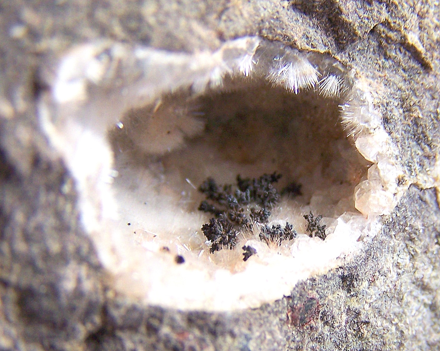 óxidos de manganeso sobre "mesolita-natrolita"
Geoda de 3cm
(Autor: canada)