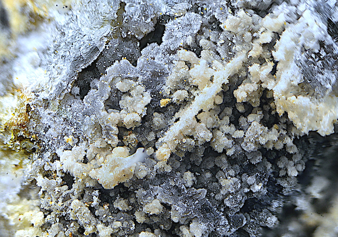 Fosfohedifana.
Campo de visión de 5 mm.
(Autor: Antonio Carmona)