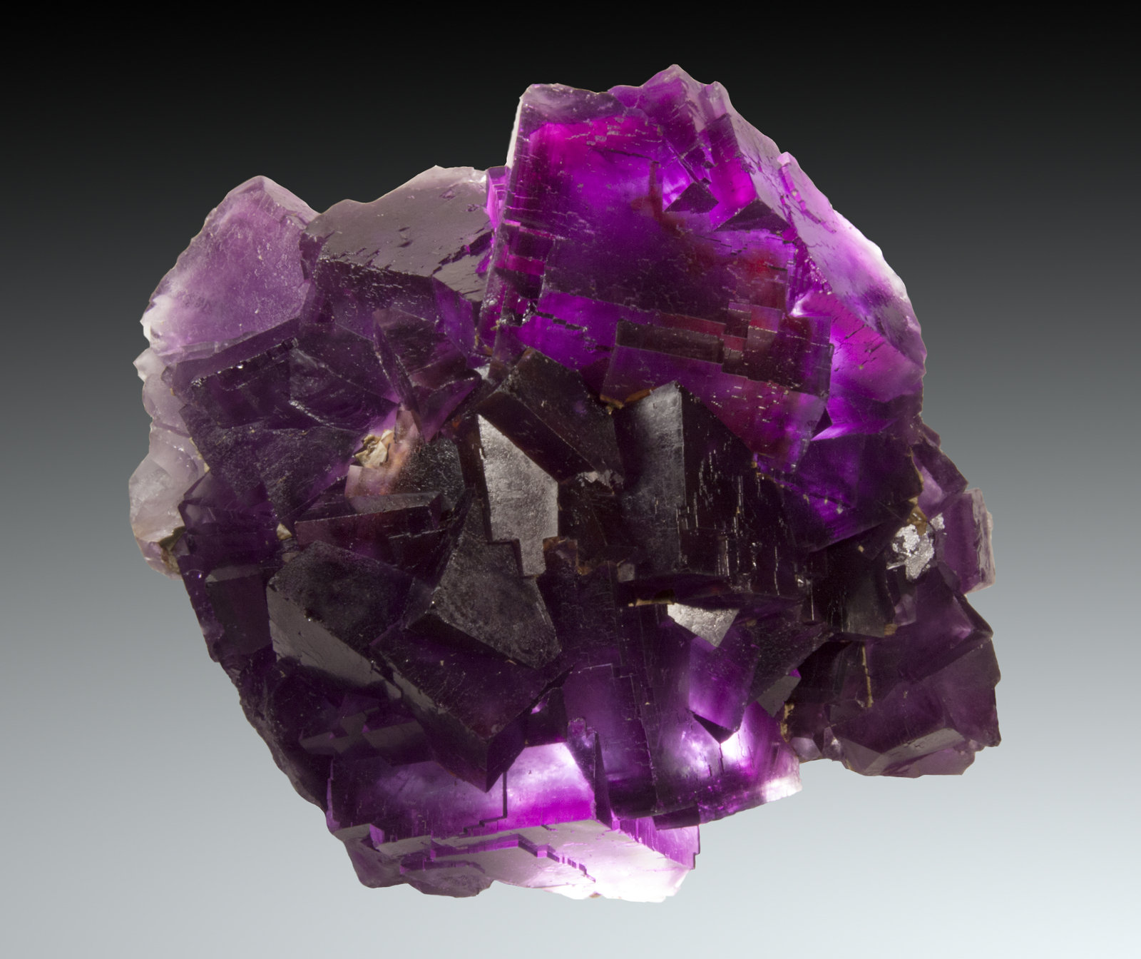 Fluorita
19 x 15cm, cristales hasta 5cm de arista
(Autor: Raul Vancouver)