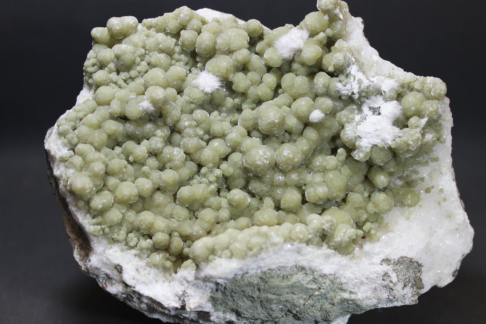Girolita
Malad Quarry, Malad, Mumbai (Bombay), Mumbai District, Maharashtra, India
14 x 12 cm
(Autor: Joaquin Blanco Cortina)