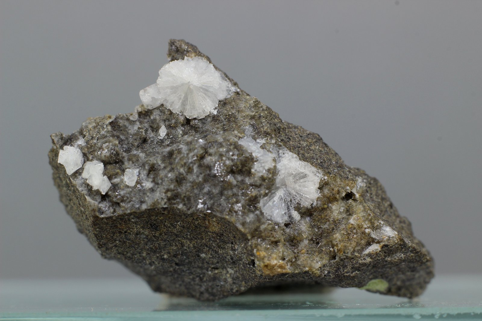 Gismondina
28x18 mm
(Autor: Juan Espino)