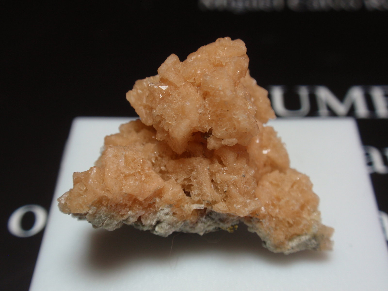 Gmelinita
25x15 mm
(Autor: Ignacio)
