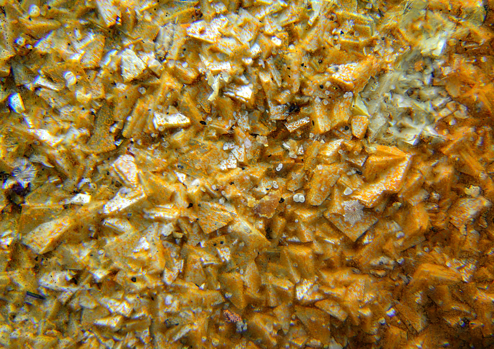 Beudantita
Campo de visión de 2 mm
(Autor: Antonio Carmona)