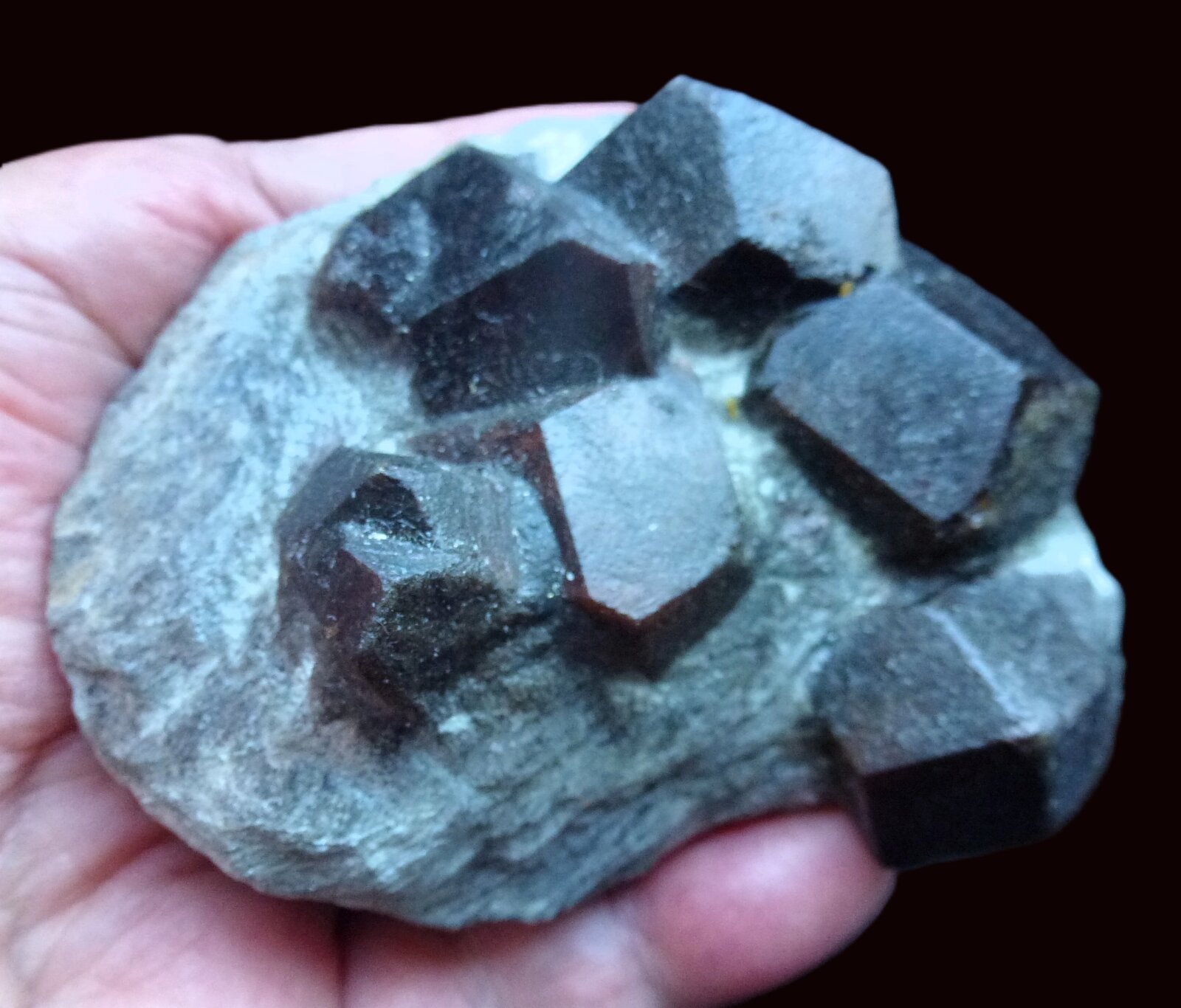 Granate (variedad almandino)
Valle Gaisberg, Obergurgl, Valle Gurgler, Valle Ötz, Tirol Norte, Tirol, Austria
7 x 5 cm,
(Autor: javier ruiz martin)
