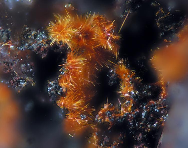Goethita
FOV 1.5 mm
(Autor: Cesar M. Salvan)