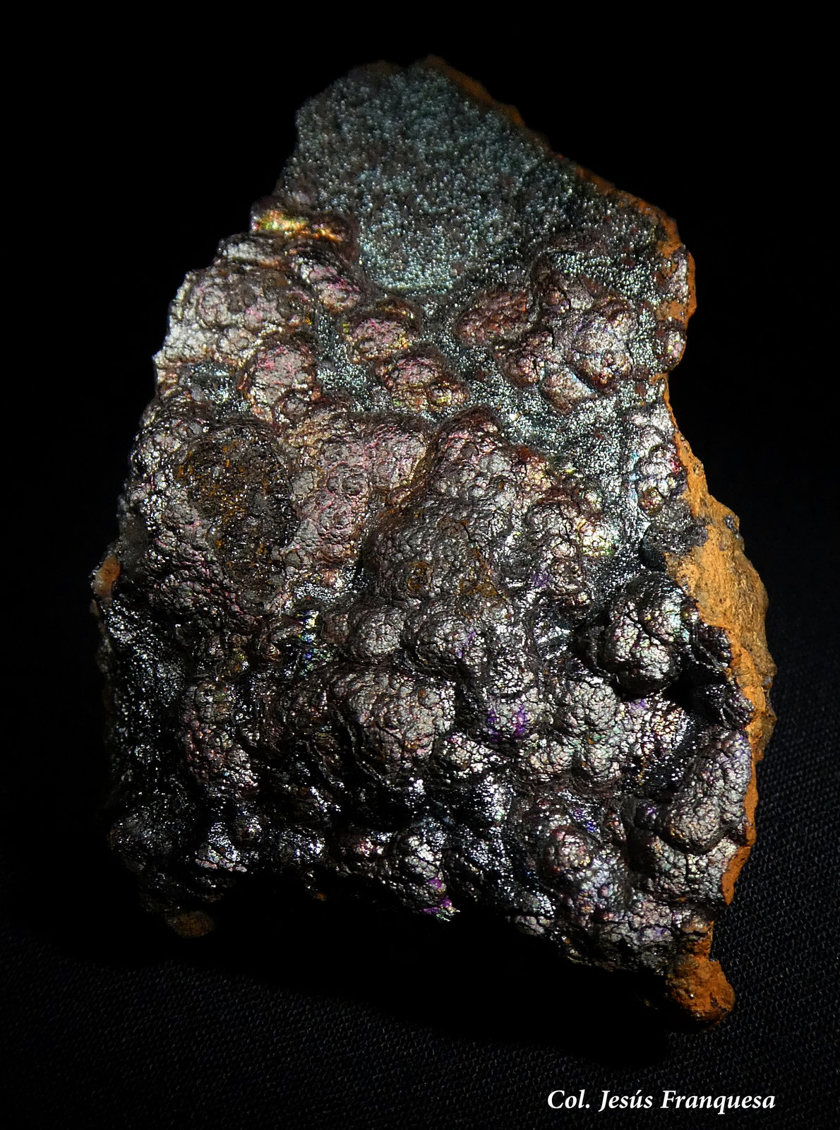 Goethita.
60x40 mm.
(Autor: Jesus Franquesa Baucells)