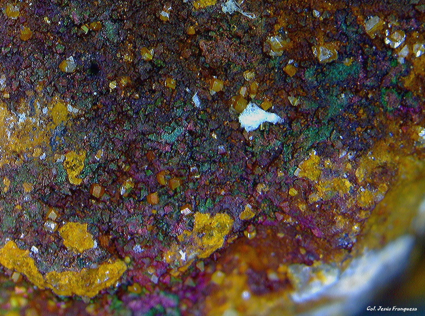 Goethita y Wulfenita.
2´967 x 2´582 mm.
(Autor: Jesus Franquesa Baucells)