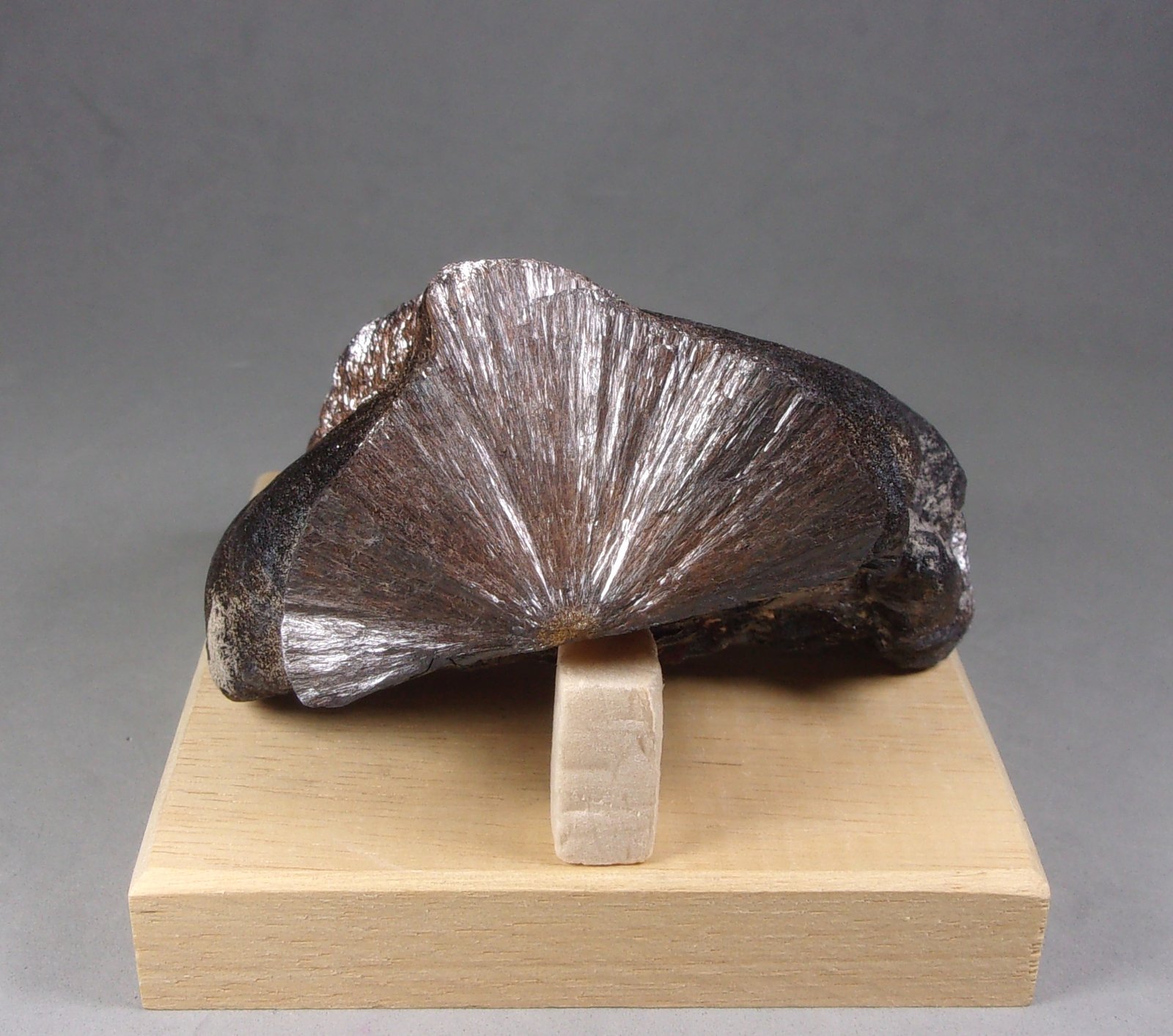 Goethita
8,3 × 6,5 × 3,7 cm.  408 g.
(Autor: J. G. Alcolea)