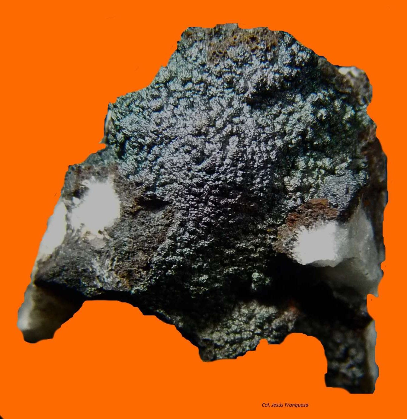 Goethita y Barita (Baritina).
35x23 mm.
(Autor: Jesus Franquesa Baucells)