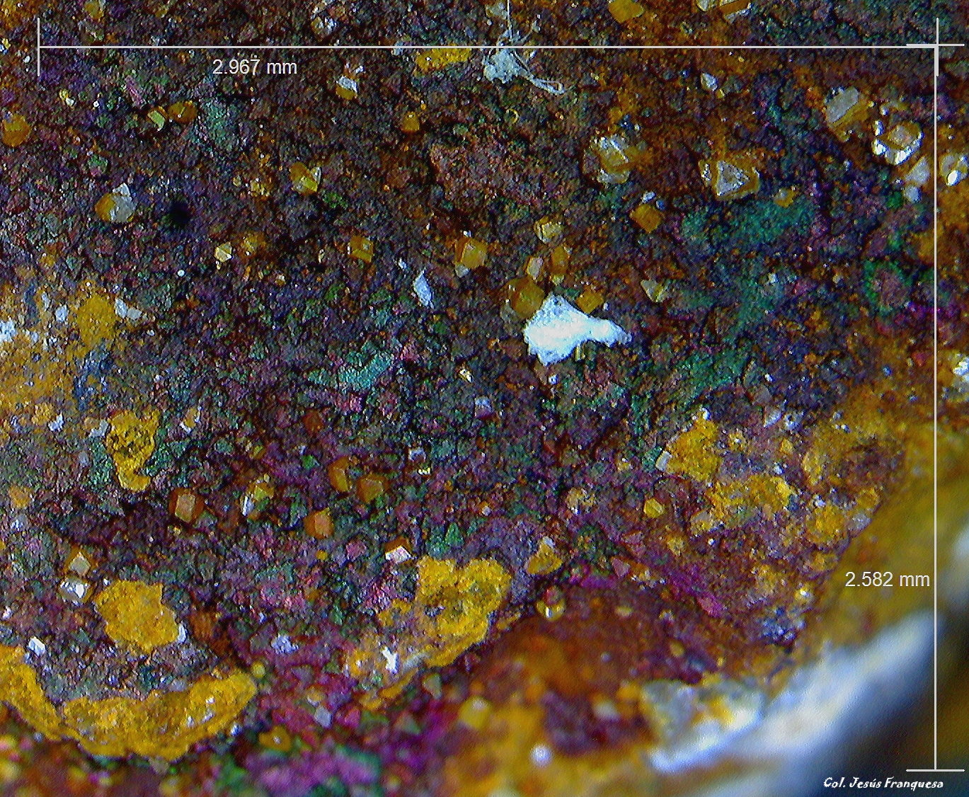 Goethita y Wulfenita.
2´967 x 2´582 mm.
(Autor: Jesus Franquesa Baucells)