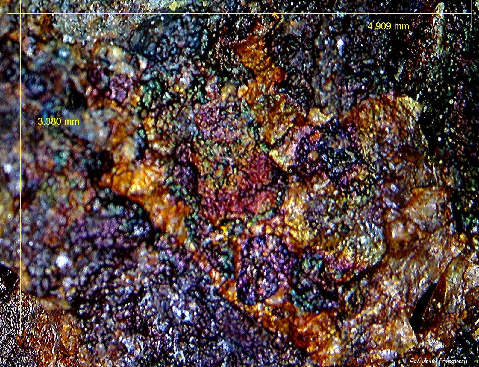 Goethita.
4´909 x 3´380 mm.
(Autor: Jesus Franquesa Baucells)