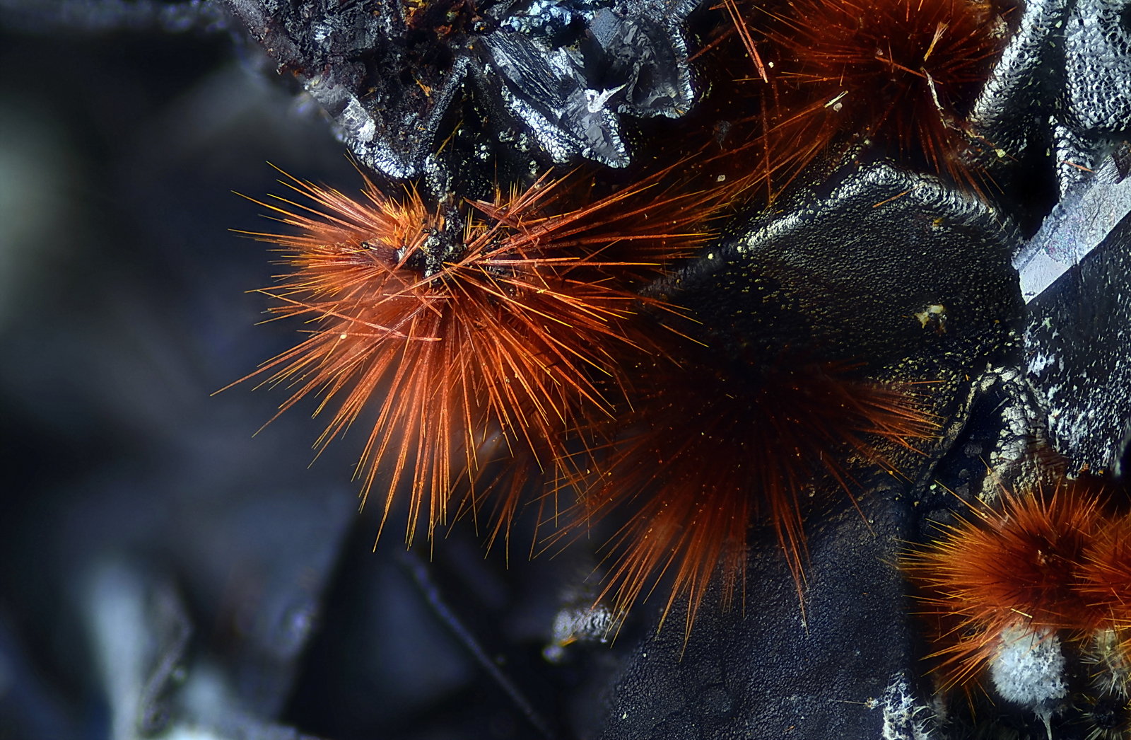 Goethita
Campo de visión 2,3 mm
(Autor: Juan Miguel)