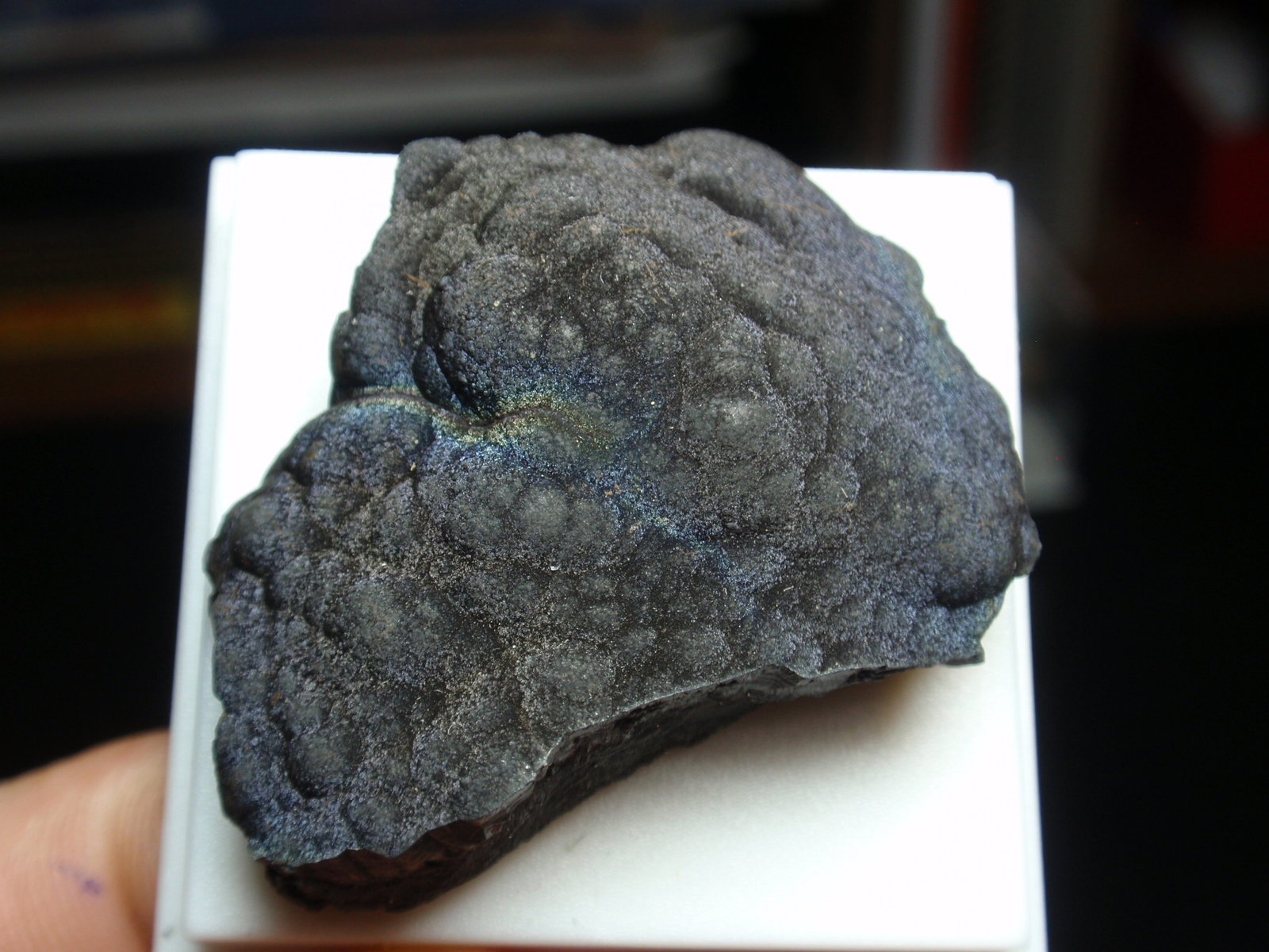 Goethita
35x30 mm
(Autor: Ignacio)