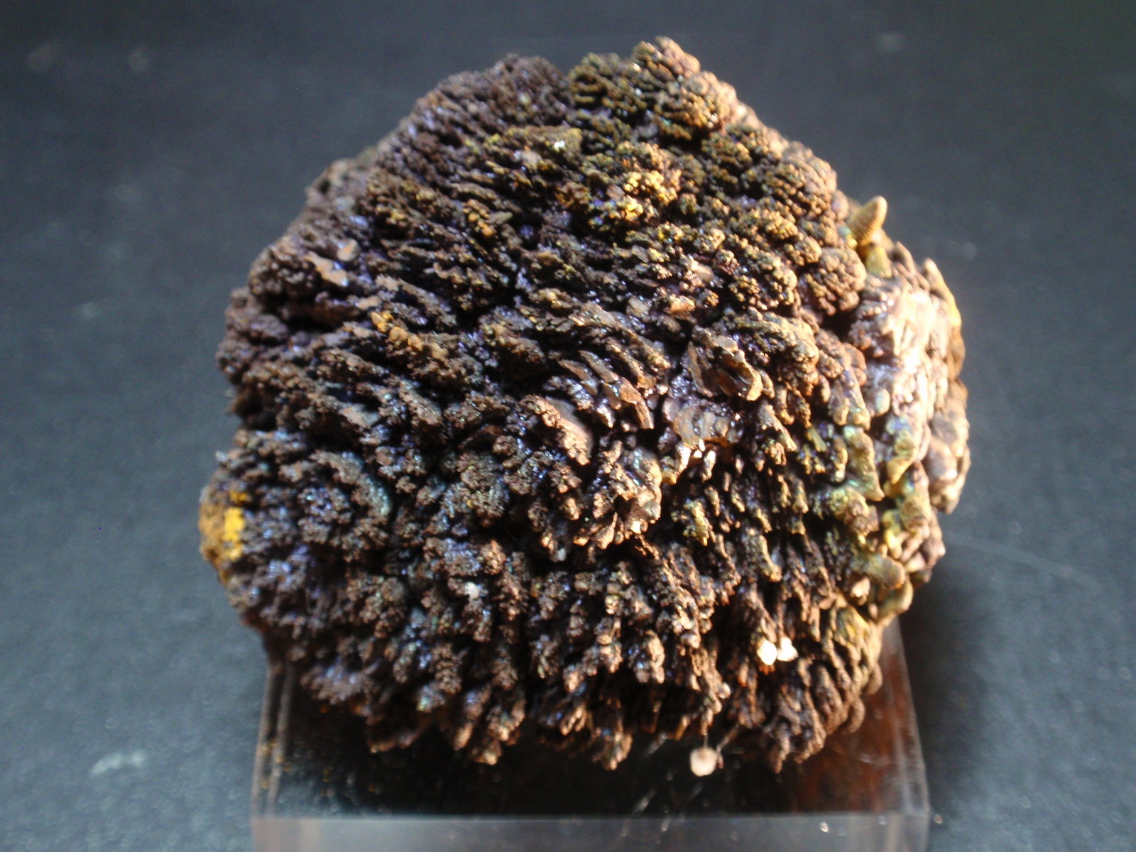 Goethita
60x45 mm
(Autor: Ignacio)