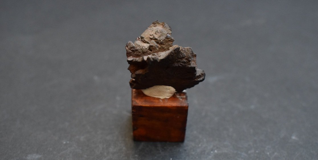 Goethita pseudomórfica de Marcasita
3 x 2,5 x 1,5 cm
(Autor: Antonio Alcaide)