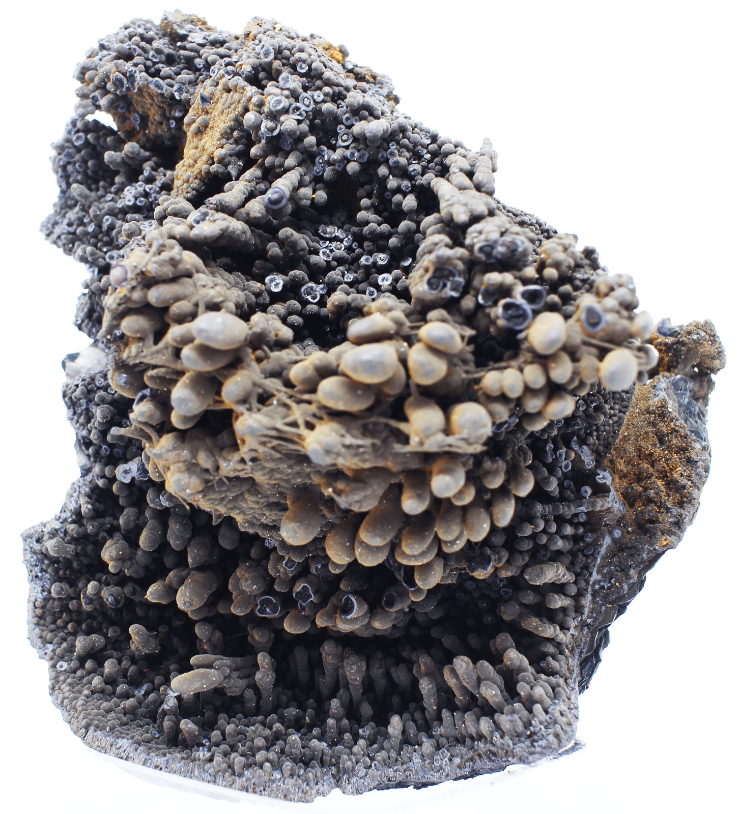 Goethita
7x8x4.5 cm
(Autor: Luis Edmundo Sánchez Roja)
