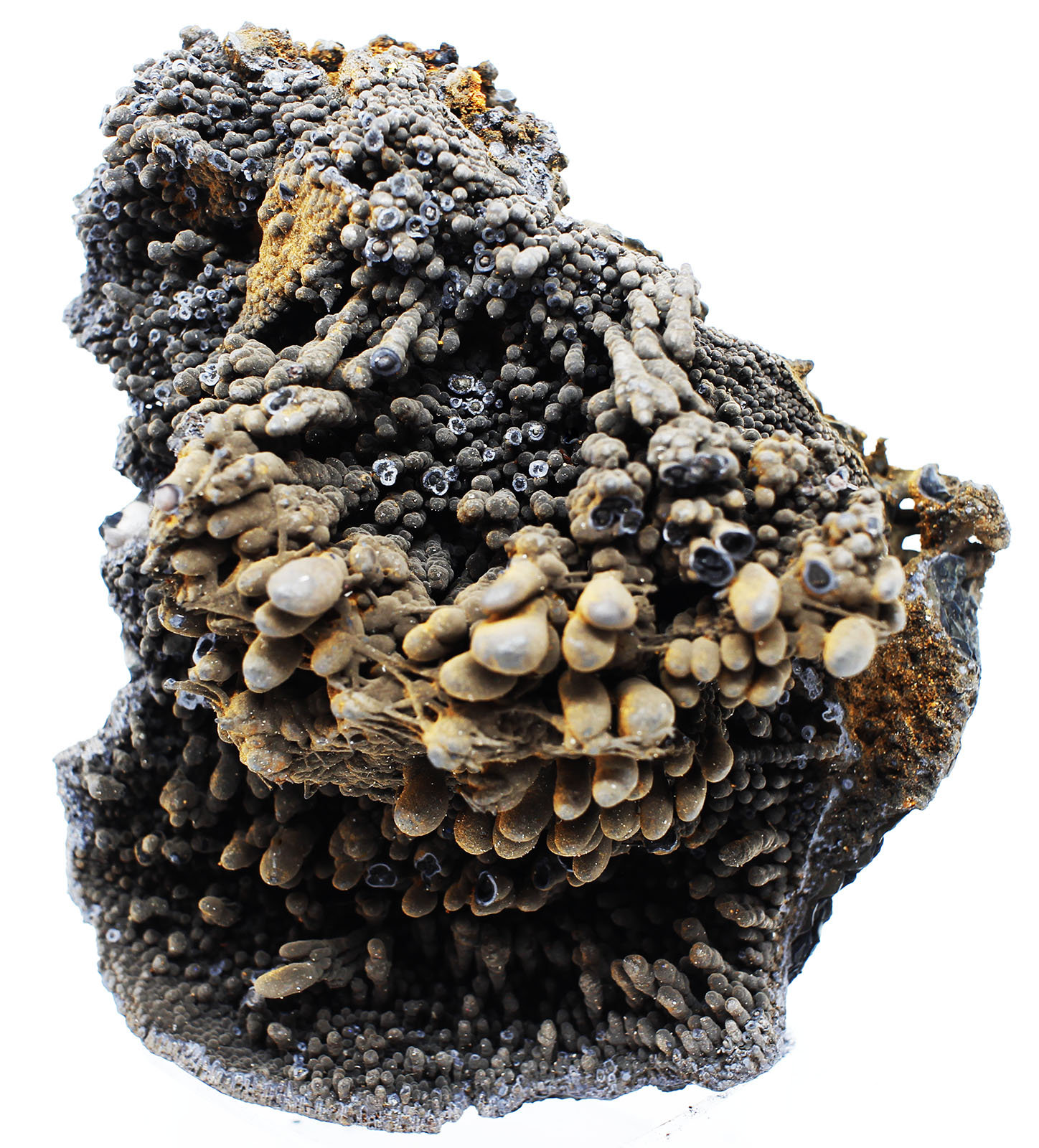 Goethita
7x8x4.5 cm
(Autor: Luis Edmundo Sánchez Roja)