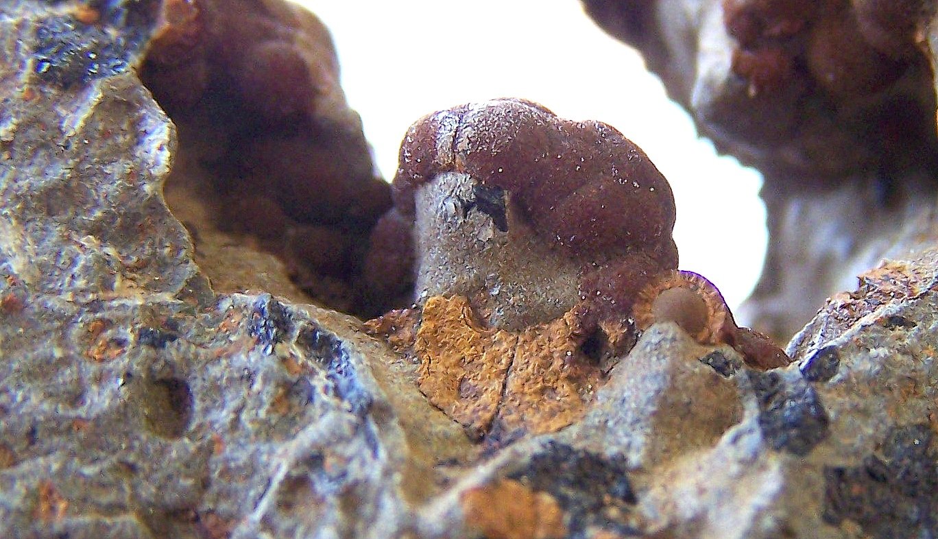 Goethita, siderita, limonita, carbonatos
8cm, medio centímetro el micro.
(Autor: canada)