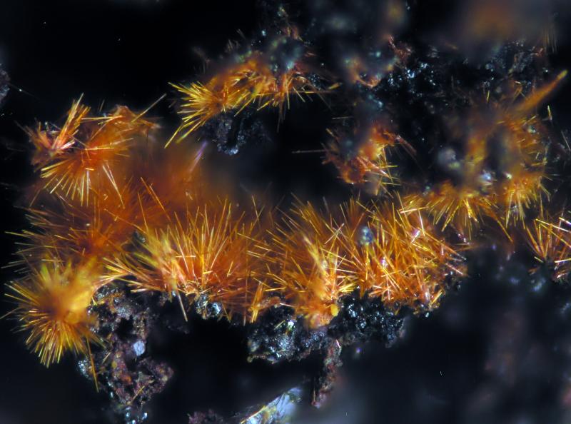 Goethita
FOV 2 mm
(Autor: Cesar M. Salvan)