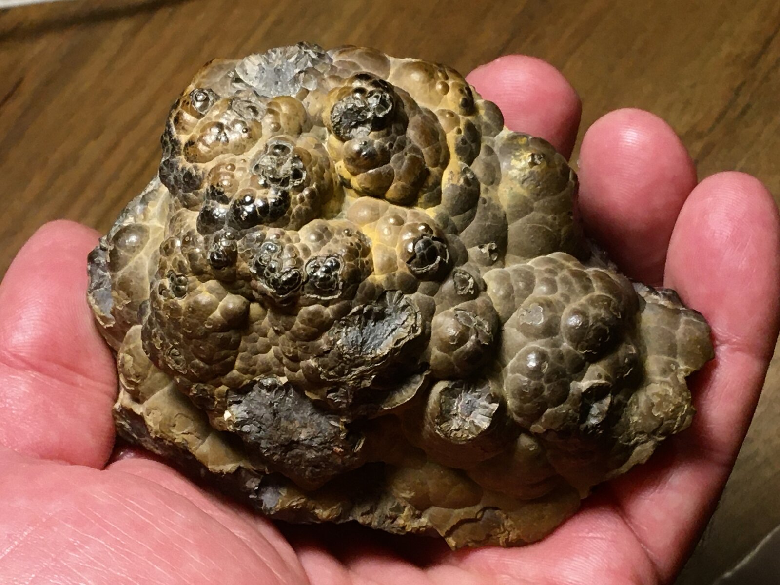 Goethita
Complejo minero histórico de Somorrostro, Vizcaya / Bizkaia, País Vasco (Euskadi), España
10 x 7 cm
(Autor: Matias Raja)