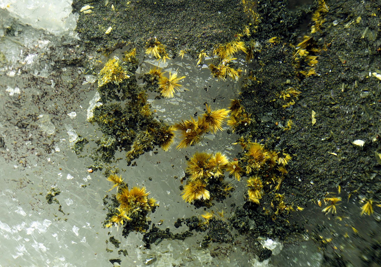 Goethita
Campo de visión de 2 mm
(Autor: Antonio Carmona)