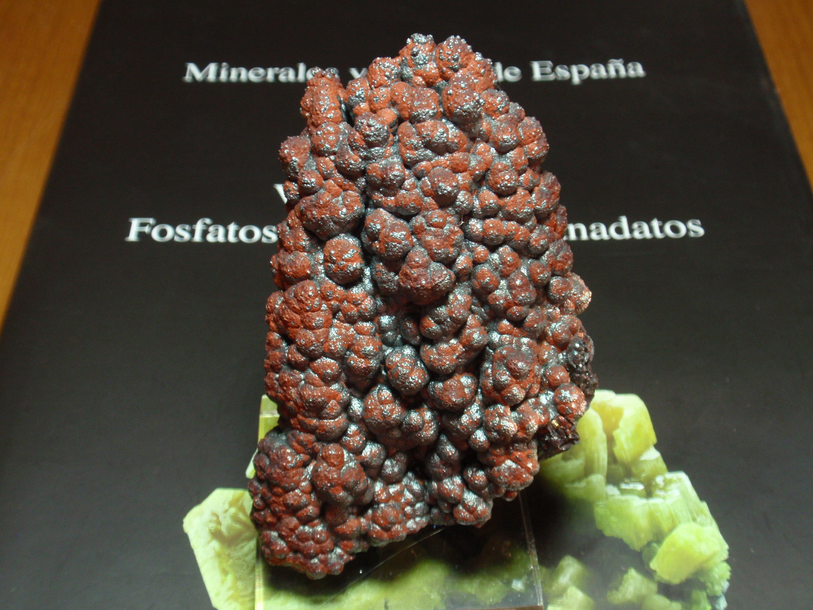 Goethita
50x80 mm
(Autor: Ignacio)