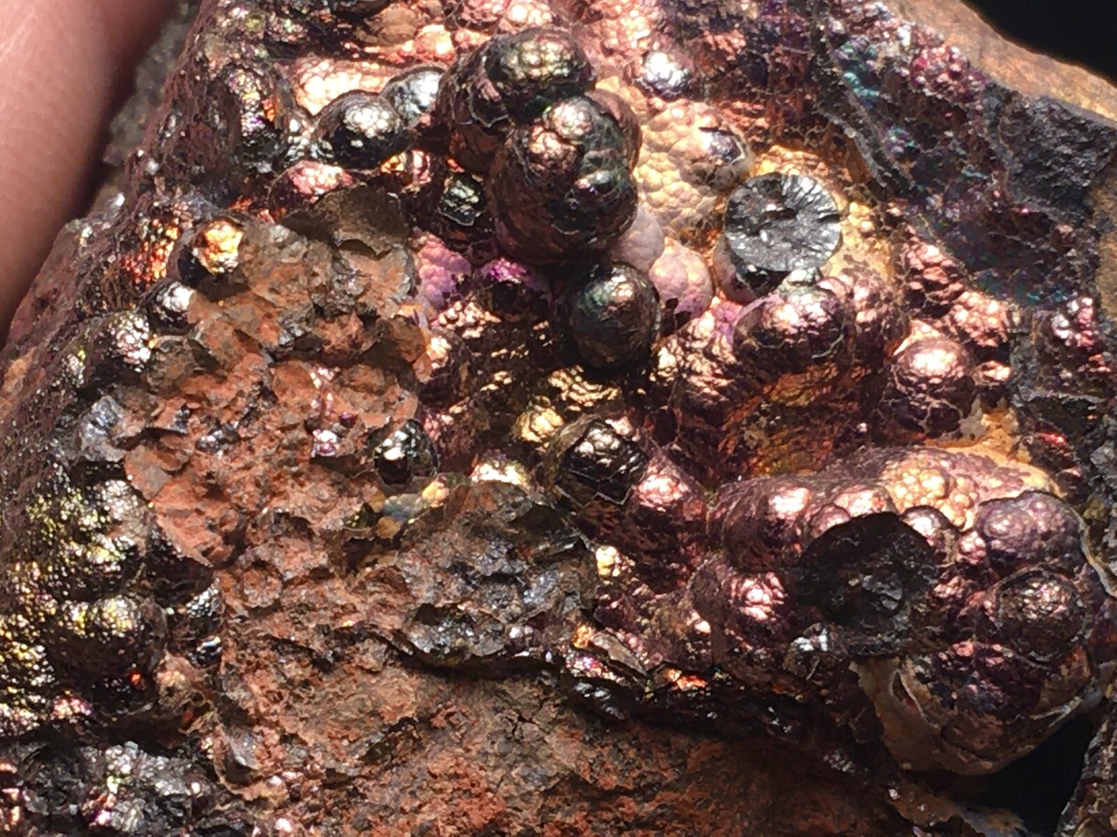 Goethita
Minas de Tharsis, Tharsis, Alosno, Comarca El Andévalo, Huelva, Andalucía, España
8 x 8 cm
(Autor: Matias Raja)
