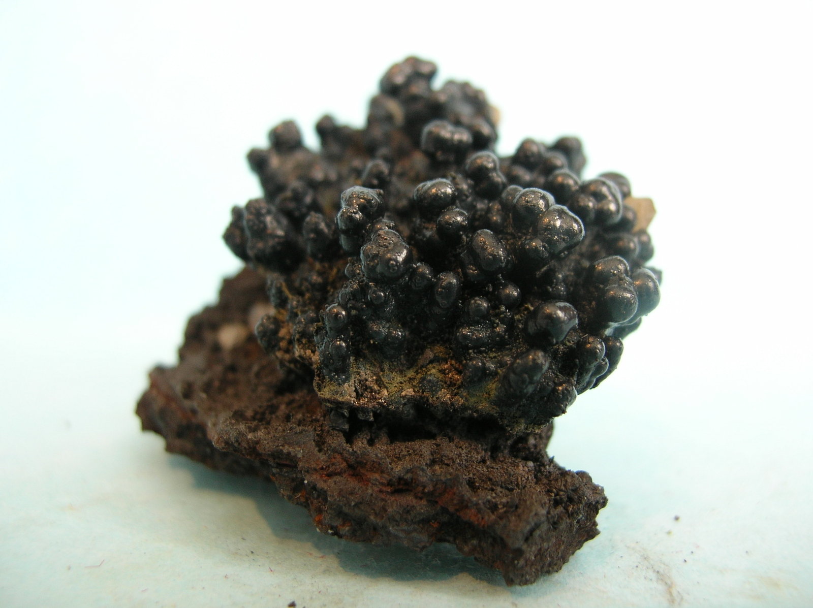 Goethita
4 x 4 cm
(Autor: Pedro Conesa)