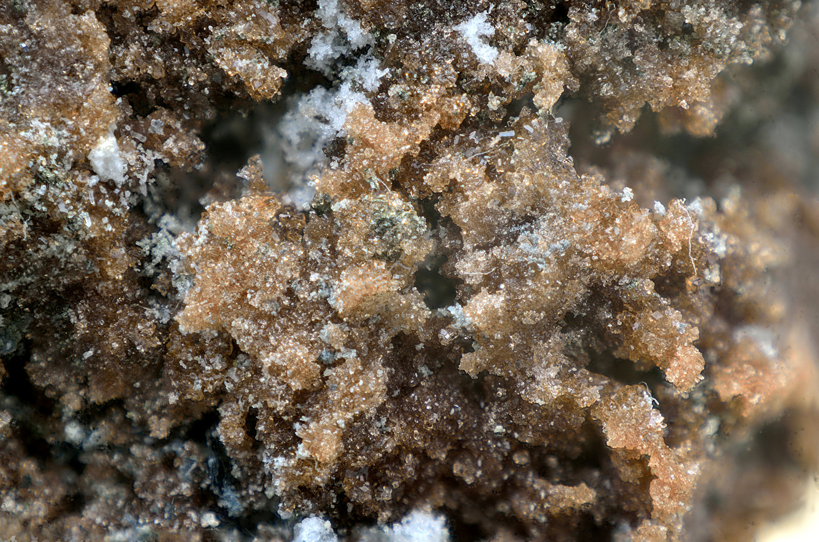 Römerita
Campo de visión de 10 mm
(Autor: Antonio Carmona)