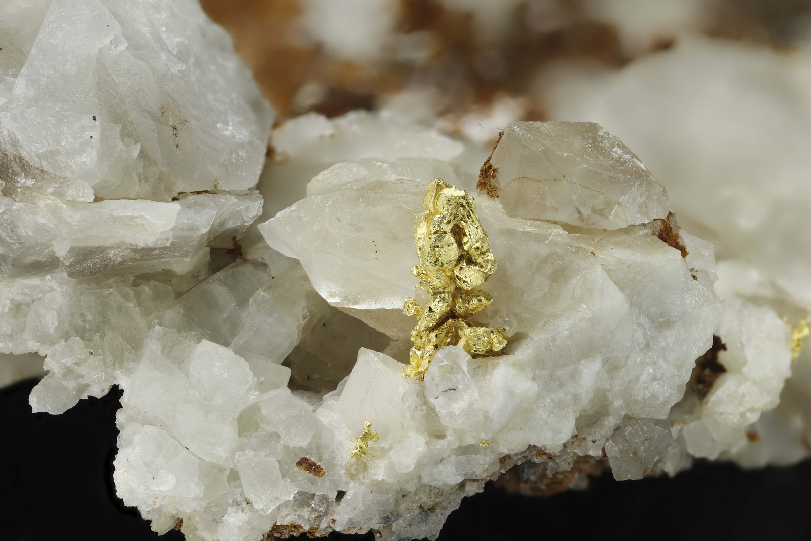 Oro en Calcita
Cristal: 0,5 x 0,2 cm.
(Autor: Foro FMF)