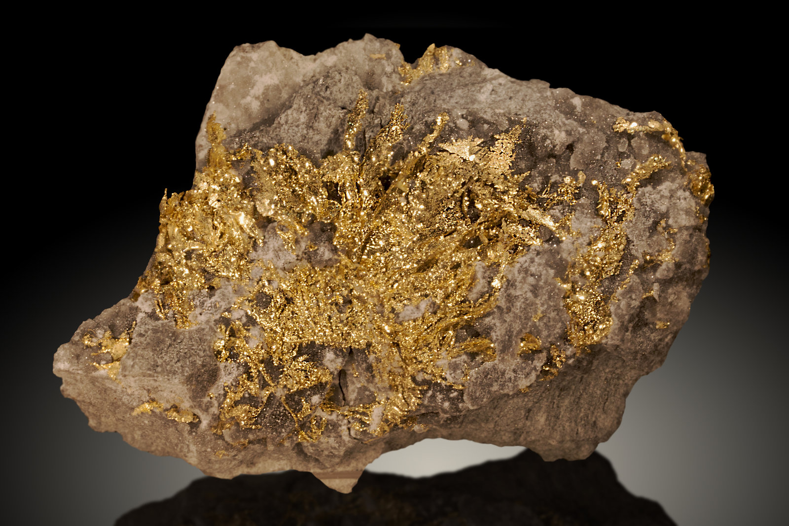 Oro
12cm de dimensión mayor
(Autor: Raul Vancouver)