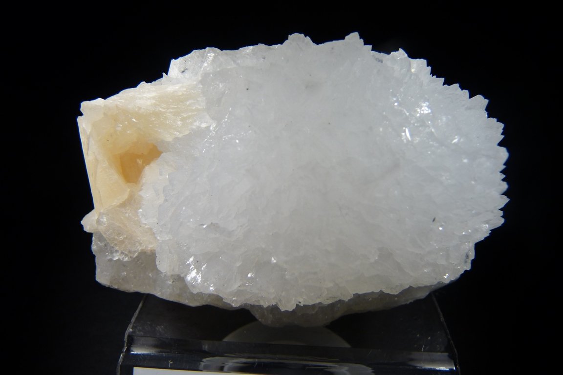 Goosecreekita.
75x45 mm.
(Autor: Jesus Franquesa Baucells)