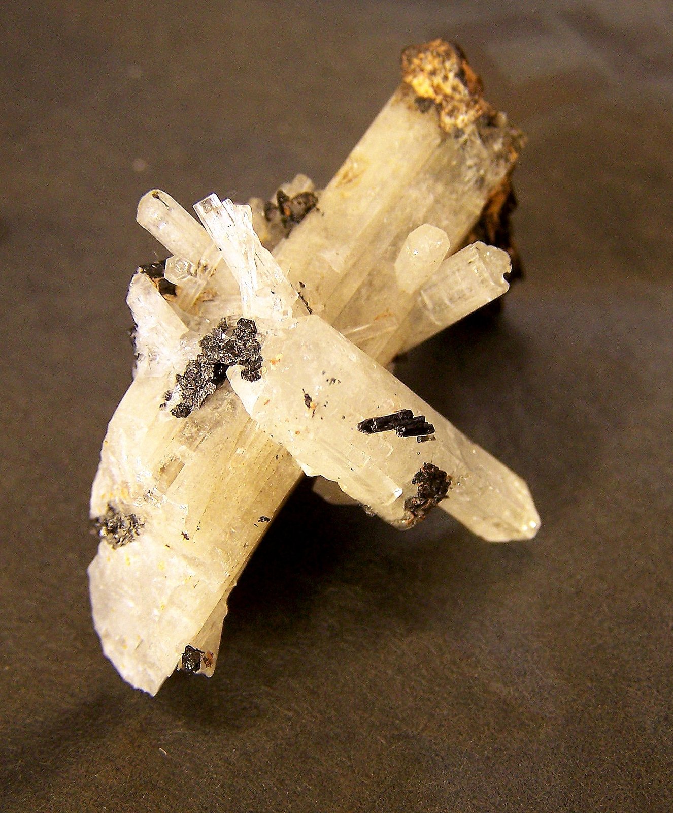 Berilo (variedad goshenita)
4cm por 3 cm
(Autor: canada)