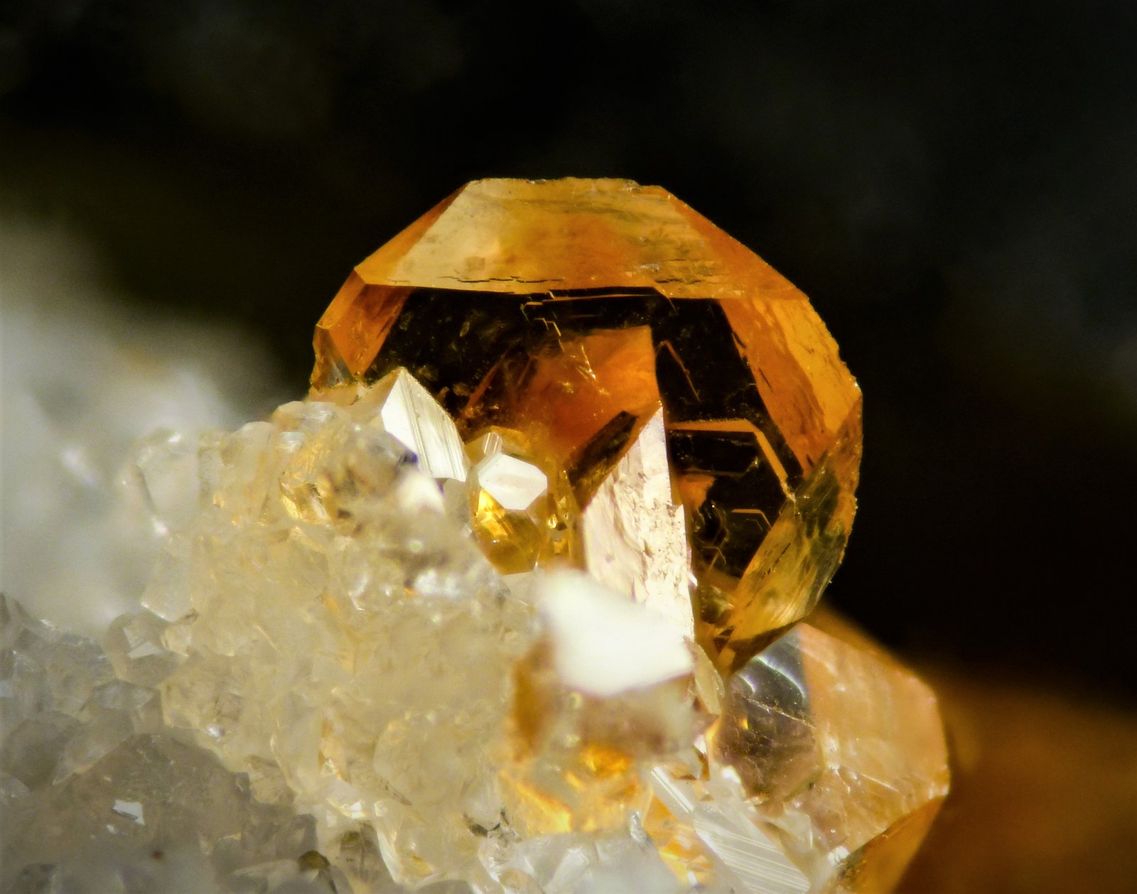 Goyazita
2 mm
(Autor: Borja Sainz de Baranda)