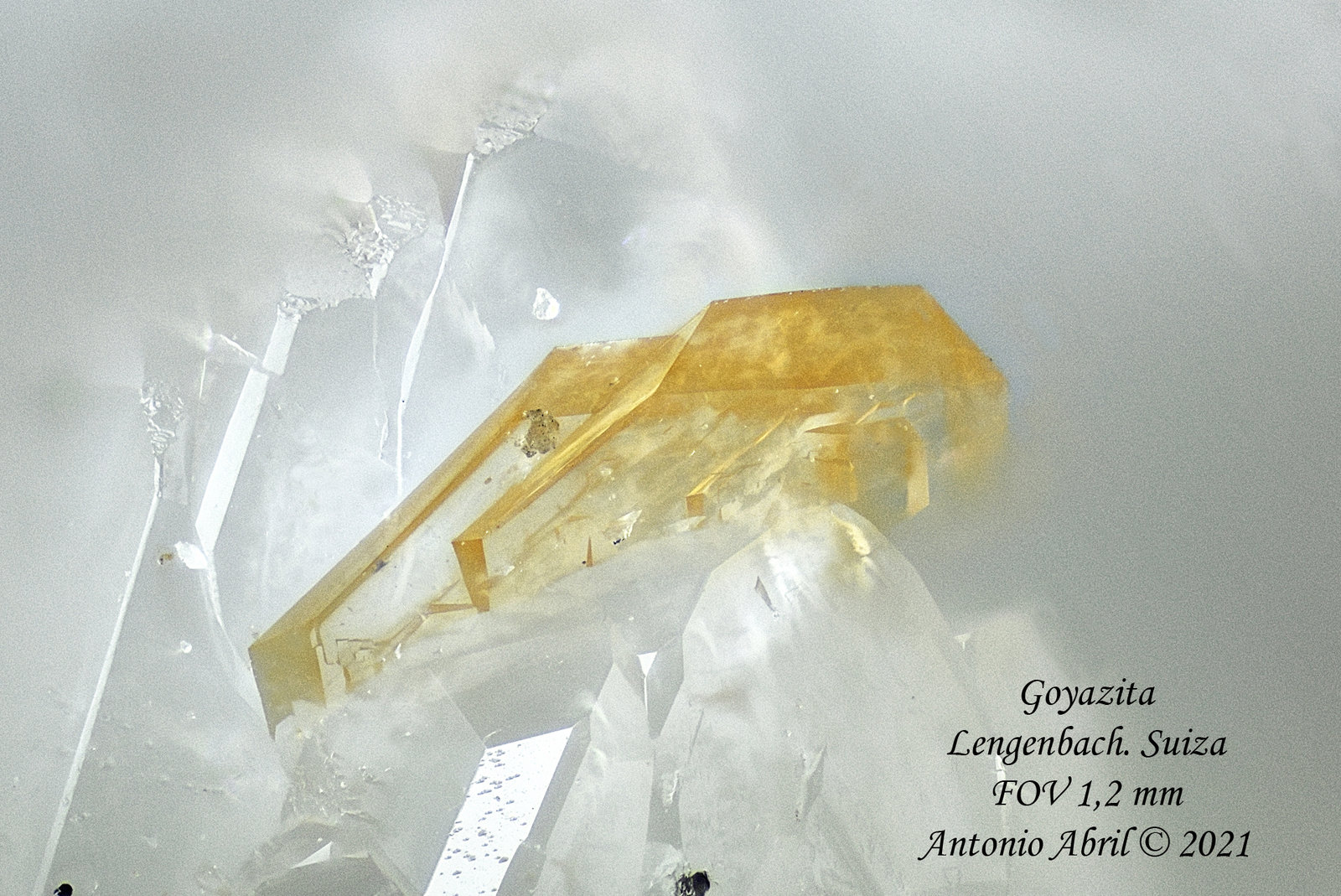 Goyazita
3 mm
(Autor: Antonio Abril)