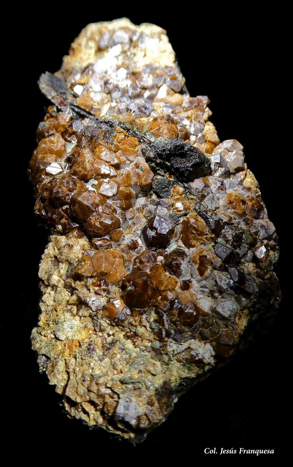 Granate.
80x40 mm.
(Autor: Jesus Franquesa Baucells)