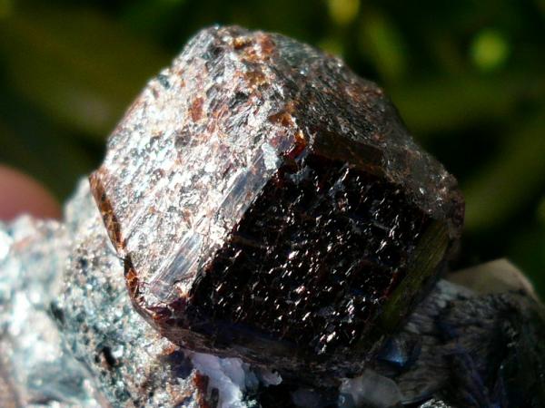 Granate (grupo)
Cristal 2 cm.
(Autor: nerofis2)