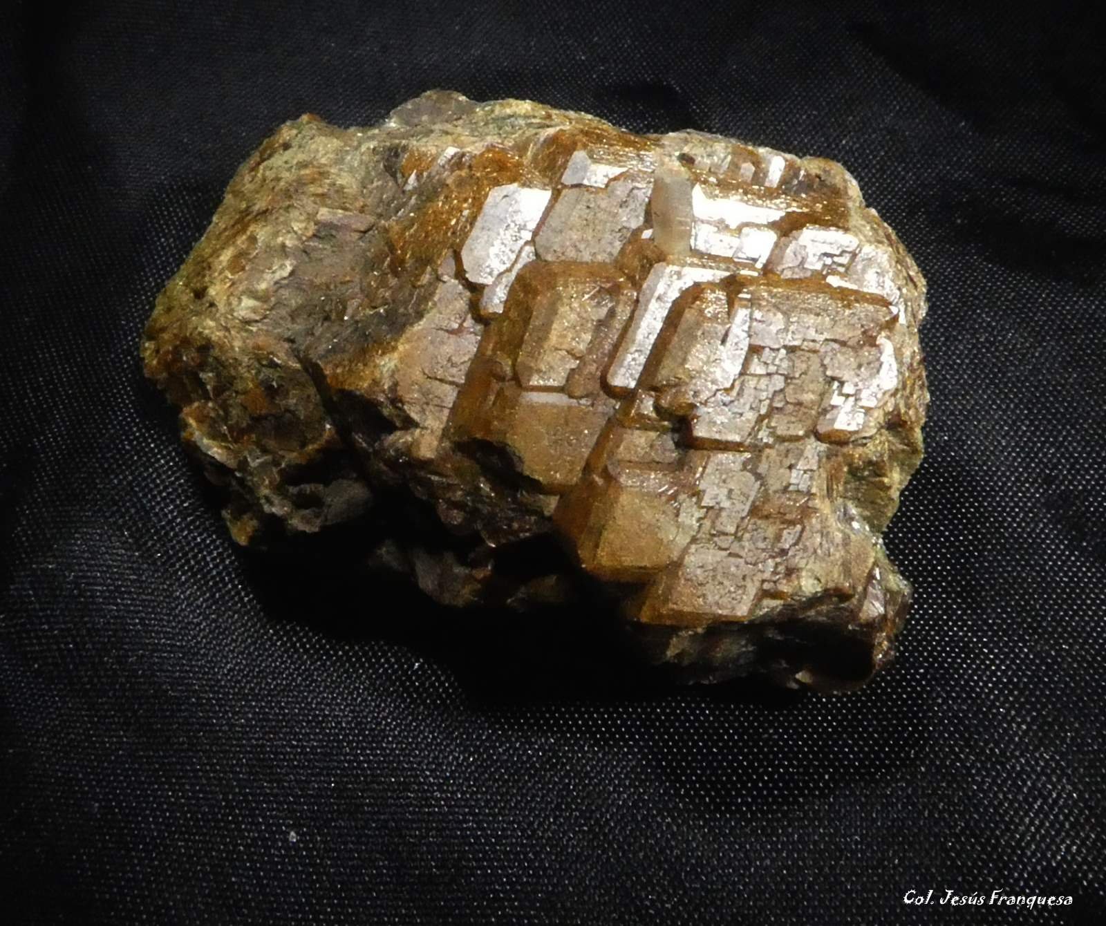 Granate (Grupo)
60x30 mm.
(Autor: Jesus Franquesa Baucells)