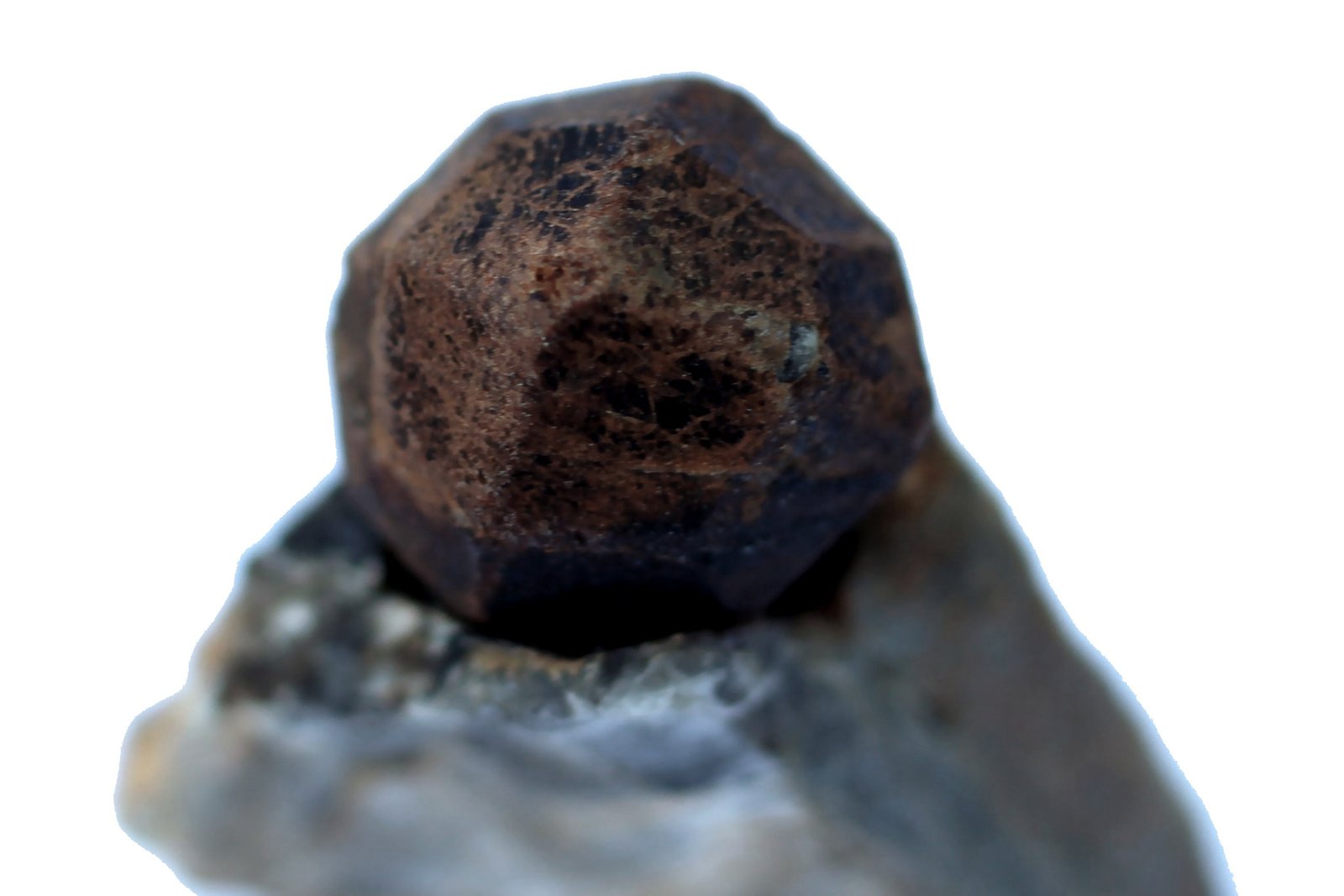 Granate
30 x 20 x 11 mm.
(Autor: José Luis Zamora)