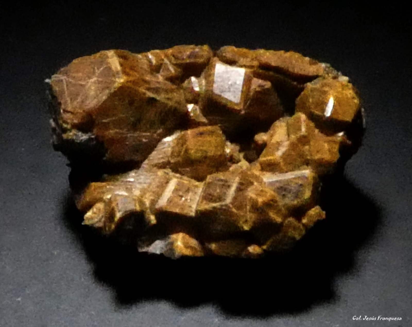 Granate (Grupo)
25x18 mm.
(Autor: Jesus Franquesa Baucells)