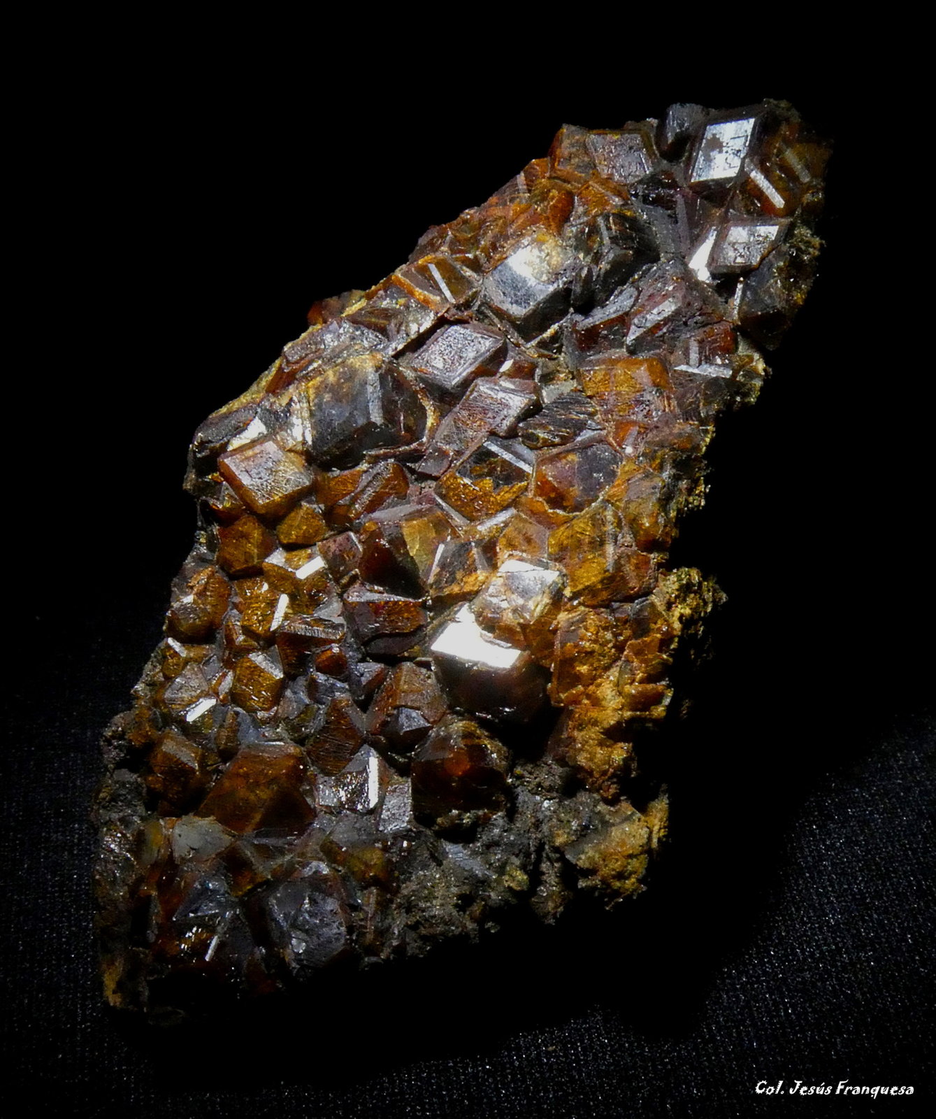 Granate (Grupo)
62x40 mm.
(Autor: Jesus Franquesa Baucells)