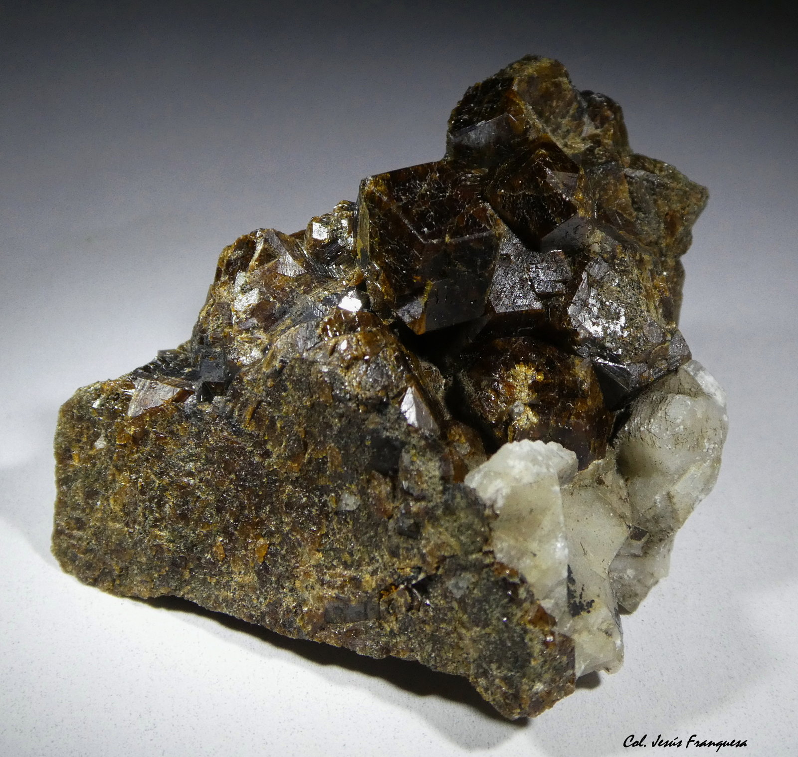 Granate
45x35 mm.
(Autor: Jesus Franquesa Baucells)