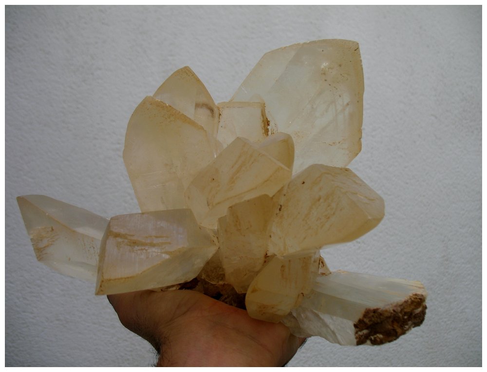 Yeso
24 x 20 cm.
(Autor: Rafa Muñoz(mineralvarado))