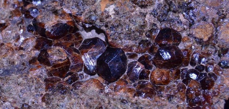 Grossularia (Grupo Granate)
Cristal mayor 9 x 6 mm.
(Autor: Quexigal)