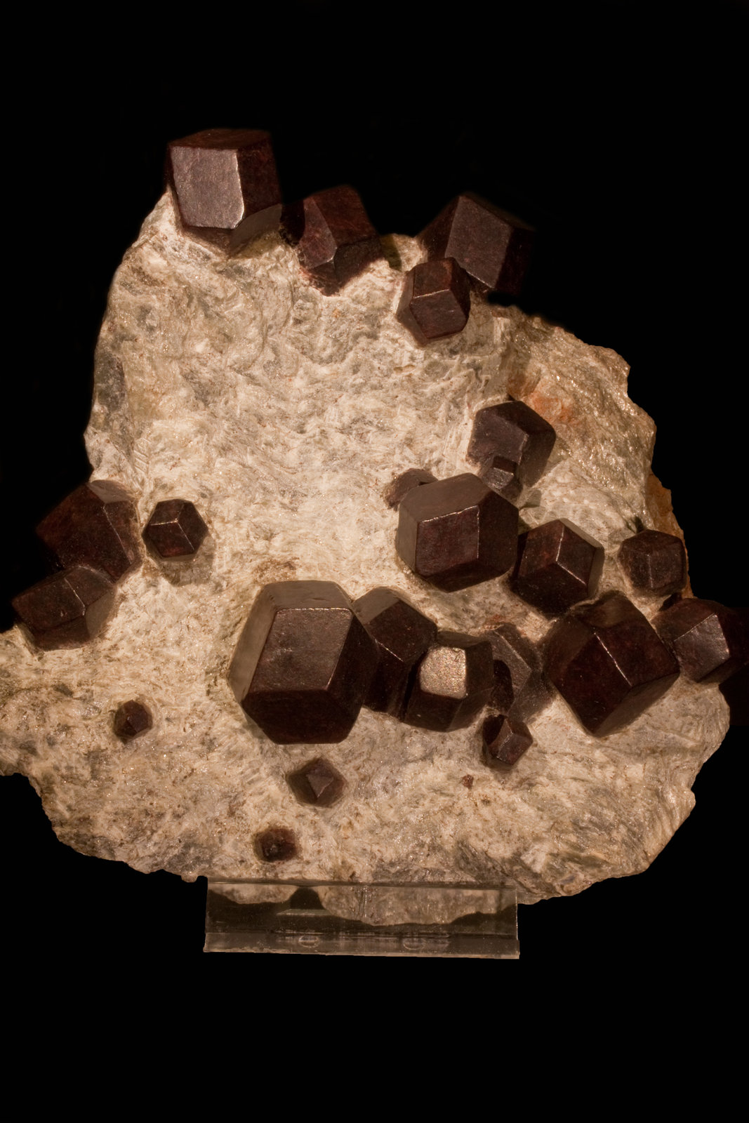Granate
17 x 13 x8,5 cm
(Autor: carles)