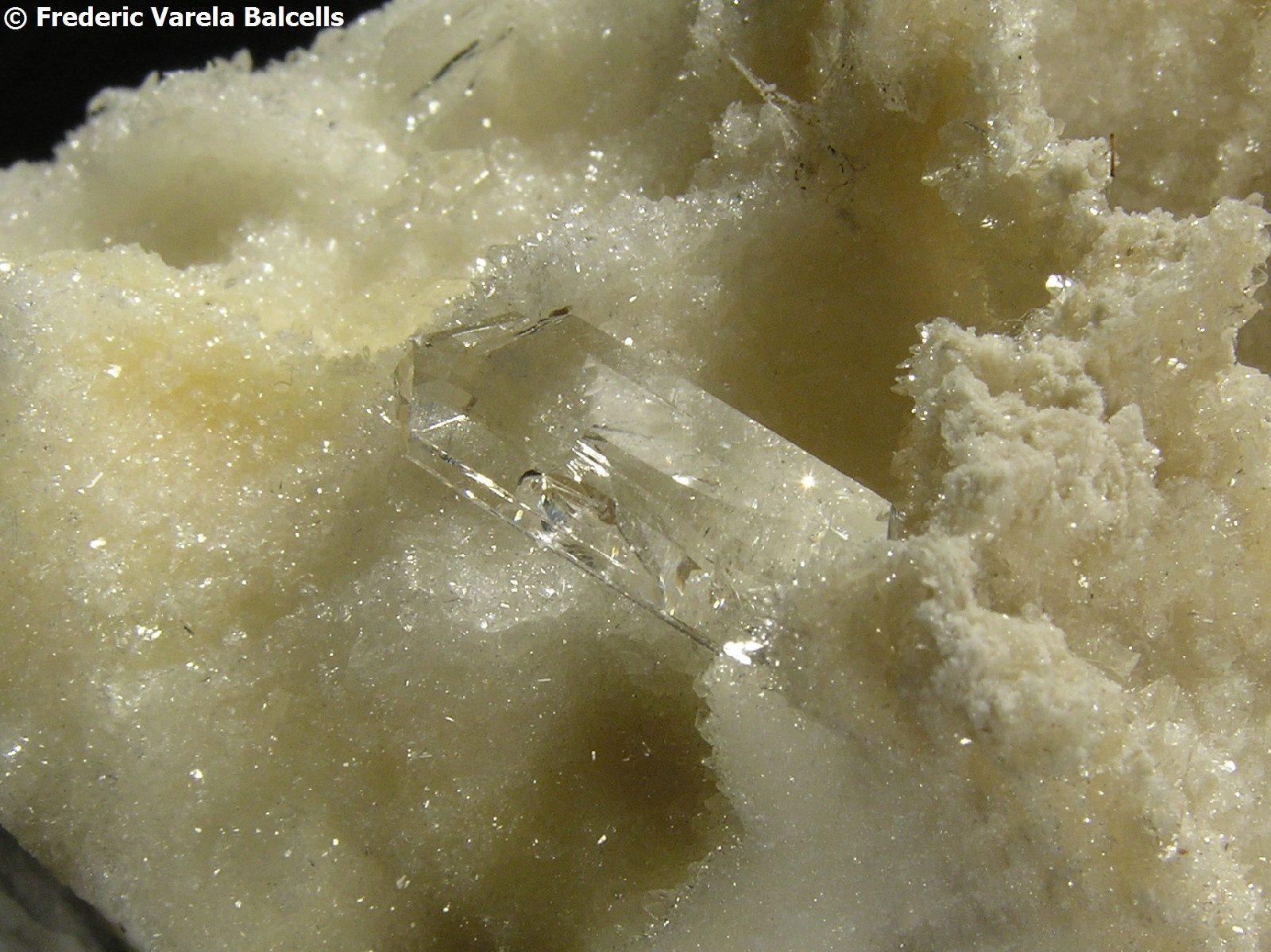 Yeso
Cristal 1,5 x 0,5 cm.
(Autor: Frederic Varela)