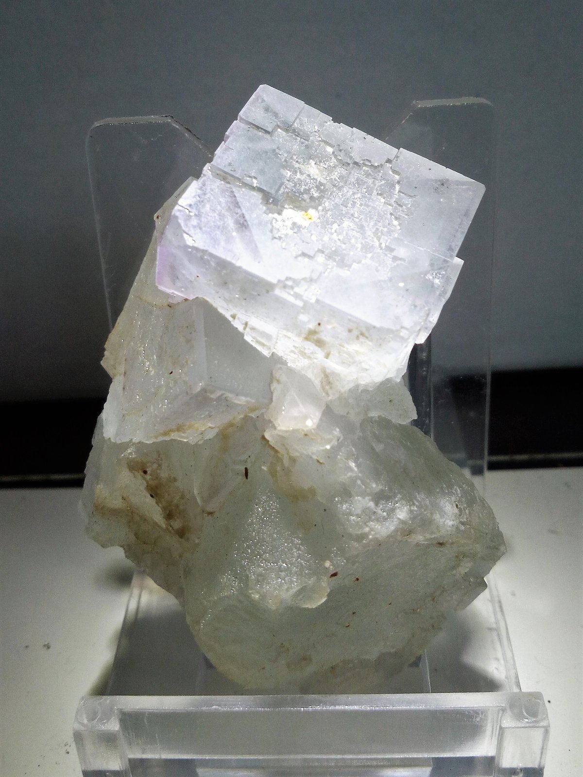 Fluorita
5,5x4 cm.
(Autor: Adri Rodríguez)